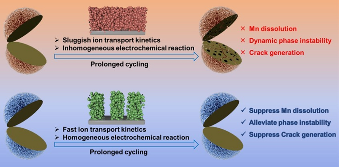 Comparison of low tortuosity LMO electrode and conventional LMO electrode