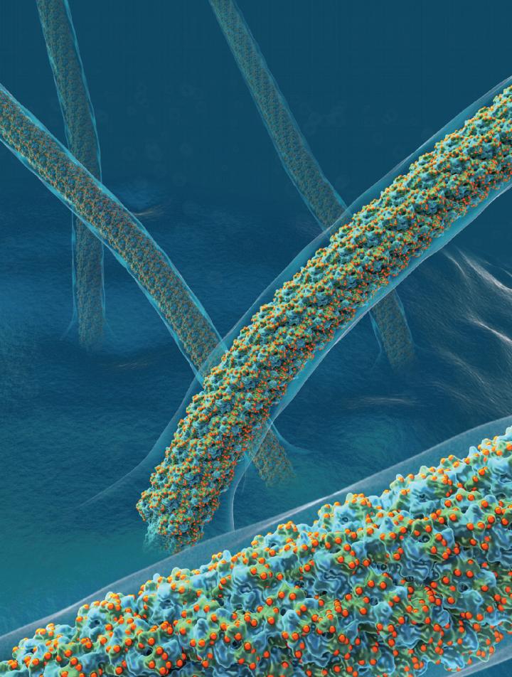 Found: a Sweet Way to Make Everything Things Almost Indestructible (1 of 3)