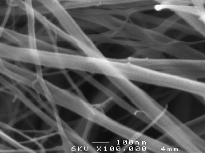 Bacterial Cellulose x100000 Magnification