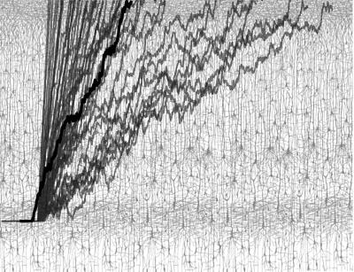 Neural Network Illustration