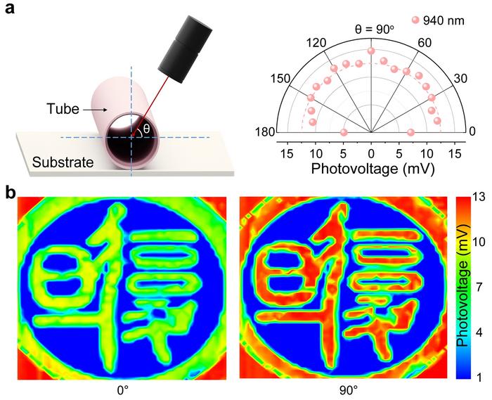 Figure 3. Omnidirectional detection and polarization imaging of the self-rolled PTE detector.