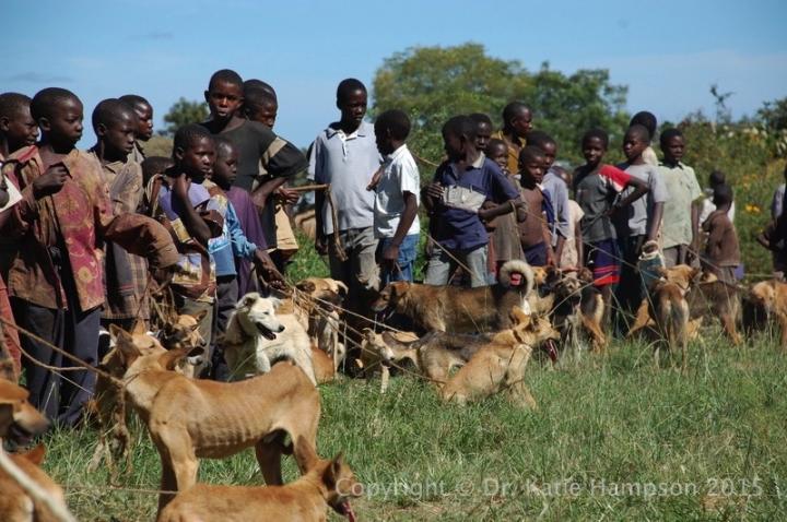 Vaccination Line