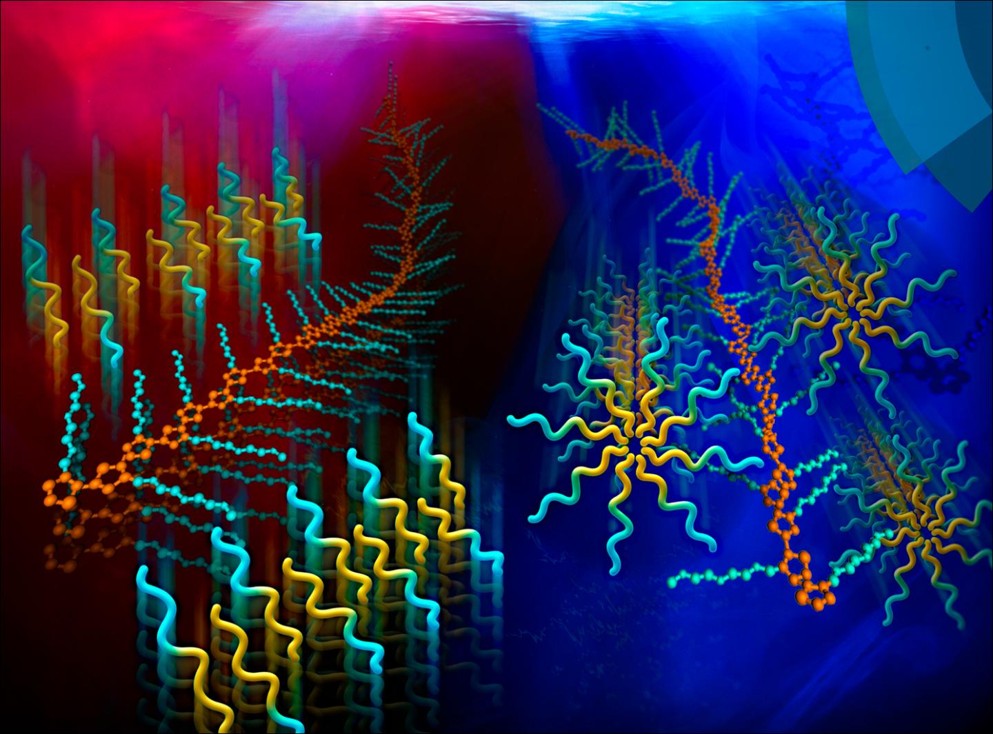 Surfactant Template Guides Self-Assembly of Polymer