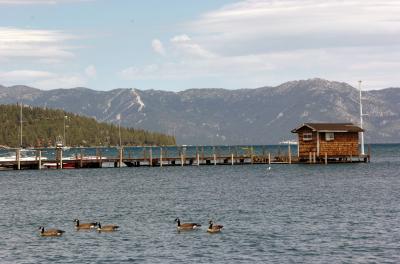 Nearshore Zone Critical for Crayfish Harvest at Lake Tahoe