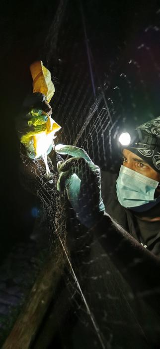 Ricardo Rocha conducting field work