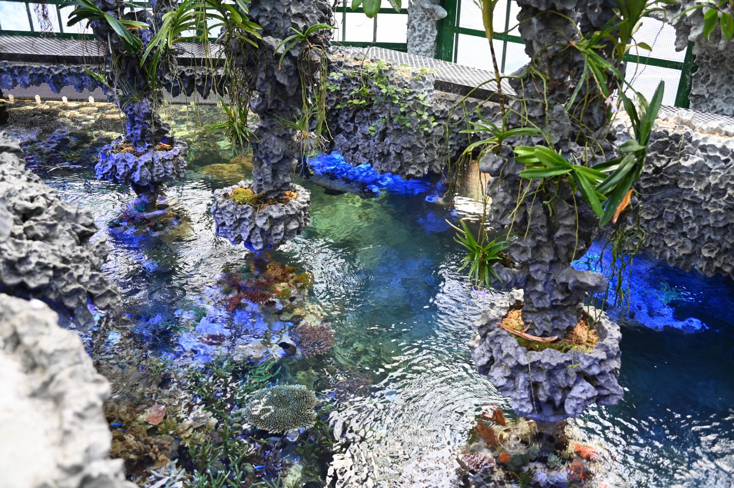 Sea Seed aquarium