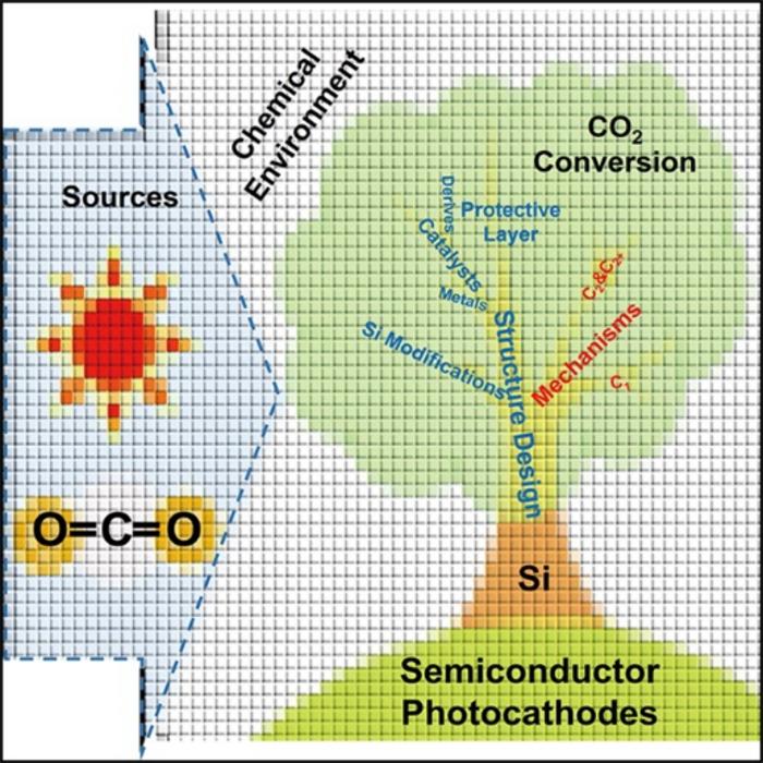 Developing Silicon-Based Photocathodes for CO2 Conversion