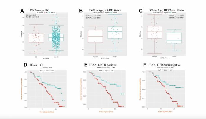 DNA-methylation age and accelerated epigenetic aging in blood as a tumor marker for predicting breast cancer susceptibility