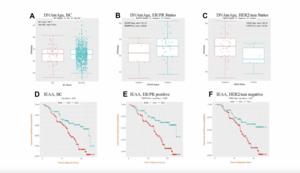 DNA-methylation age and accelerated epigenetic aging in blood as a tumor marker for predicting breast cancer susceptibility