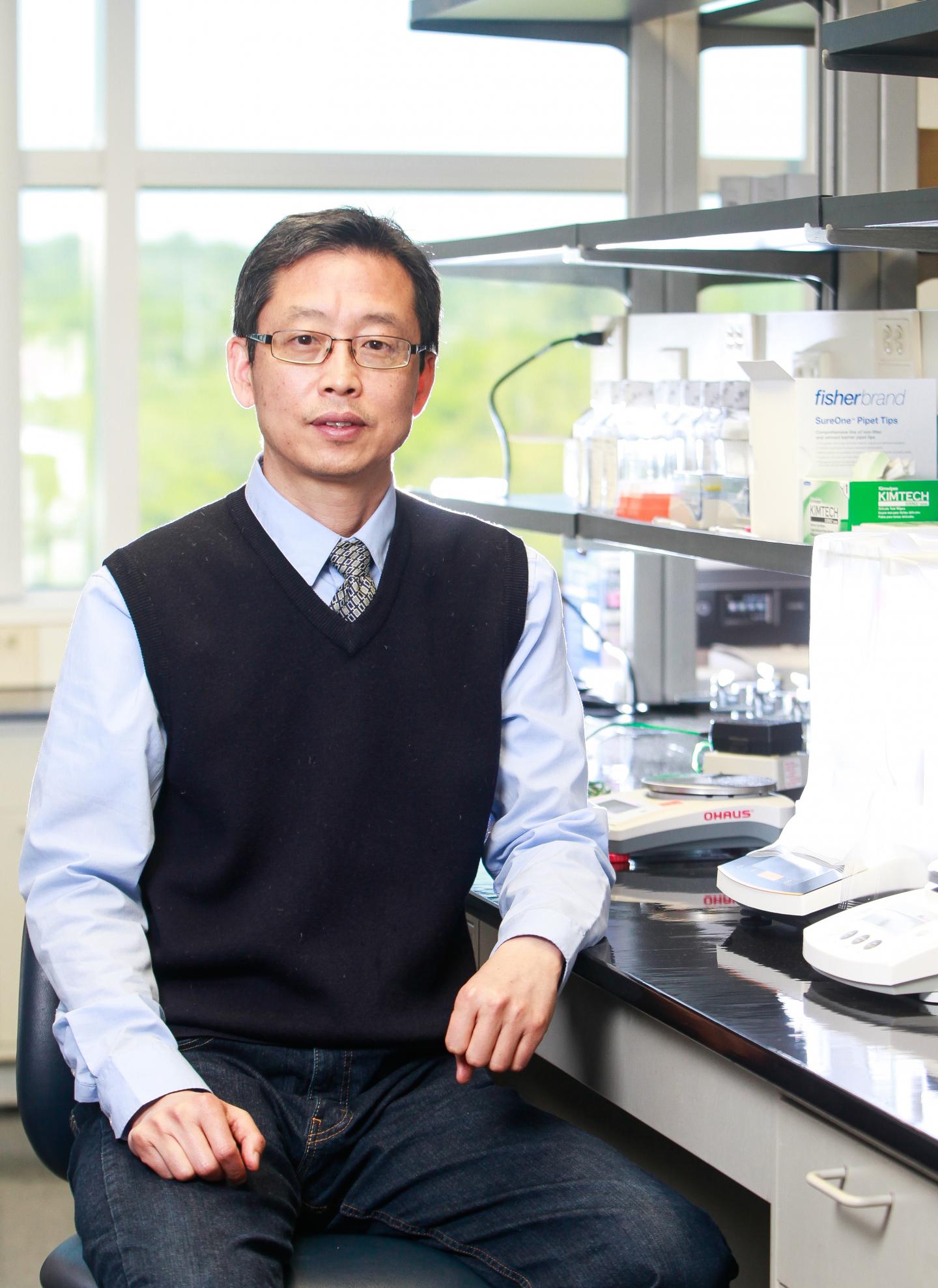 Cell reprogramming could aid spinal cord injury recovery