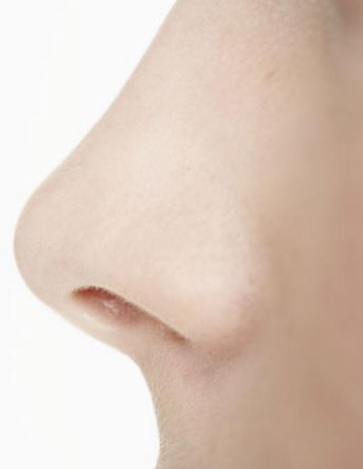 Nose