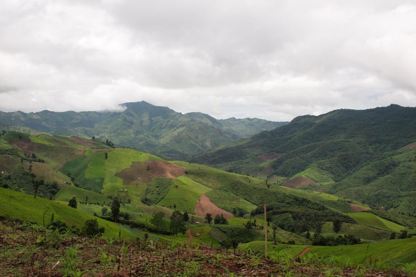 Deforestation in Southeast Asia (2 of 2)