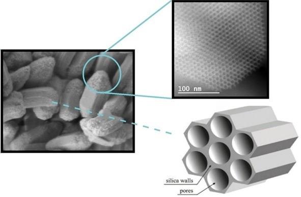 Silica Particle