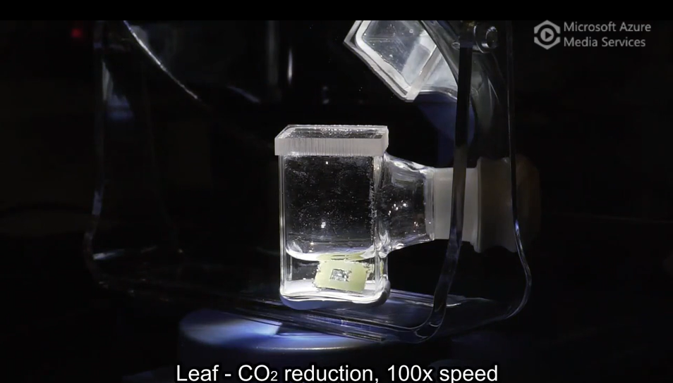 Artificial leaf reducing CO2 in the lab