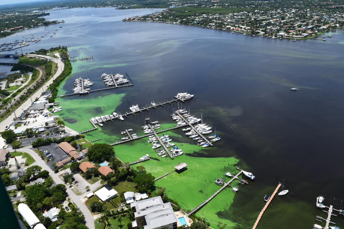 Southeast Florida's St. Lucie Estuary