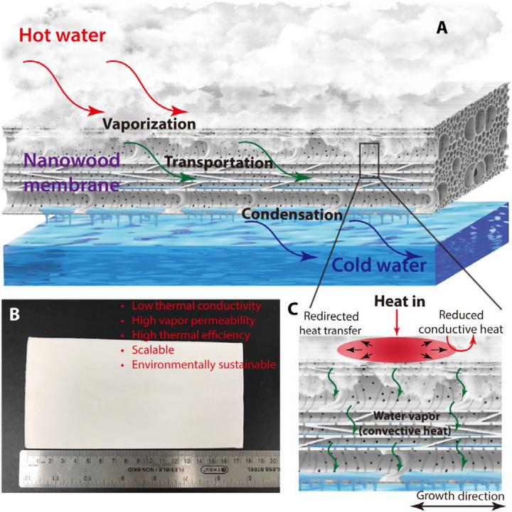 Water Distillation through Wood Membrane