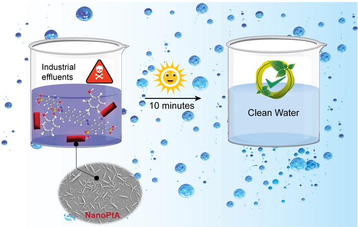 A schematic representation of toxic chemical degradation in water under sunlight using the NanoPtA enzyme mimetic