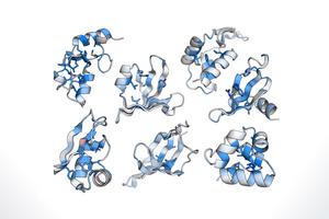 New method expertly evaluates protein folding stability on a large scale