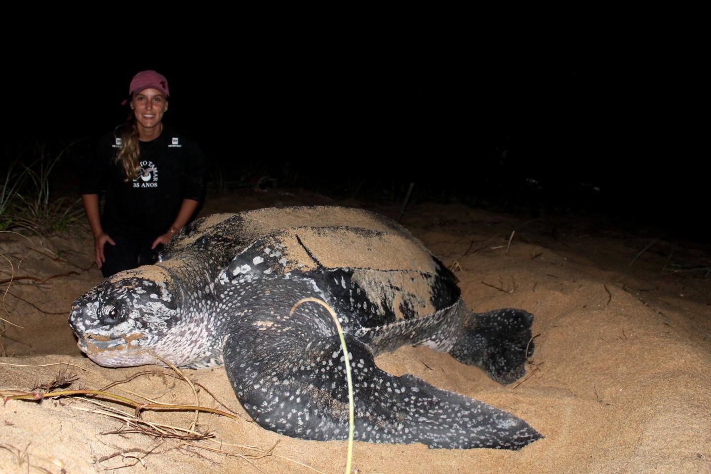 Liliana Poggio Colman with a Leatherback Turtle