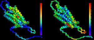 Machine Learning Tool Predicts Functional Consequences of Genetic Variants