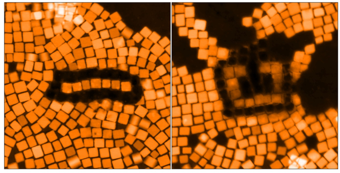 Cube pattern changes plasmonic behavior