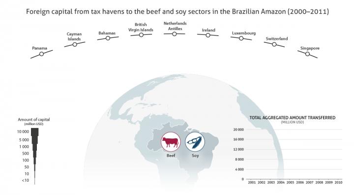 Foreign Capital from Tax Havens to Beef and Soy Companies in Amazon Rainforest
