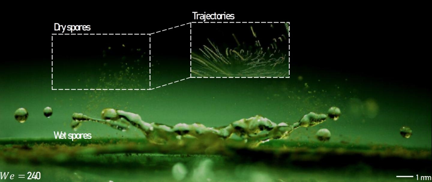 Air-vortex Dispersal