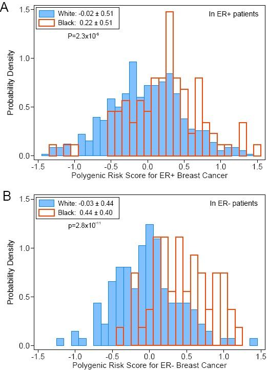 Black vs White ER+ and ER- Breast Cancer