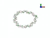 Mini Plasmid Simulation