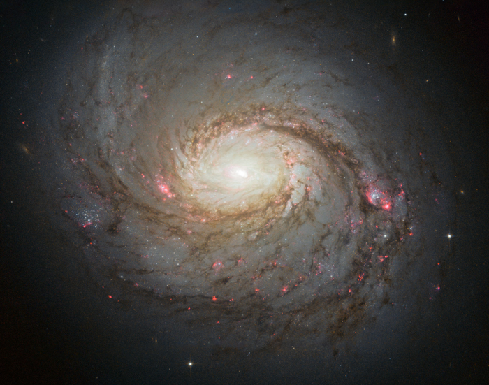 Hubble image of the spiral galaxy NGC 1068.