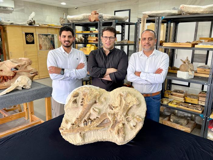 Discovering Tutcetus rayanensis: Egyptian Paleontologists with Holotype Fossils