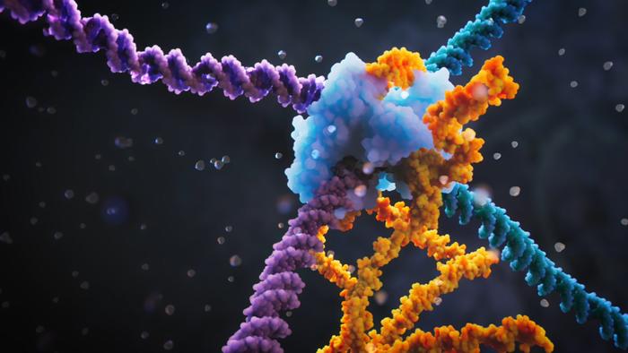 Bridge Recombinase Mechanism