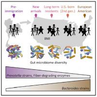 Microbiome and Immigration Graphical Abstract