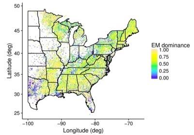 Distribution of EM Dominant Trees