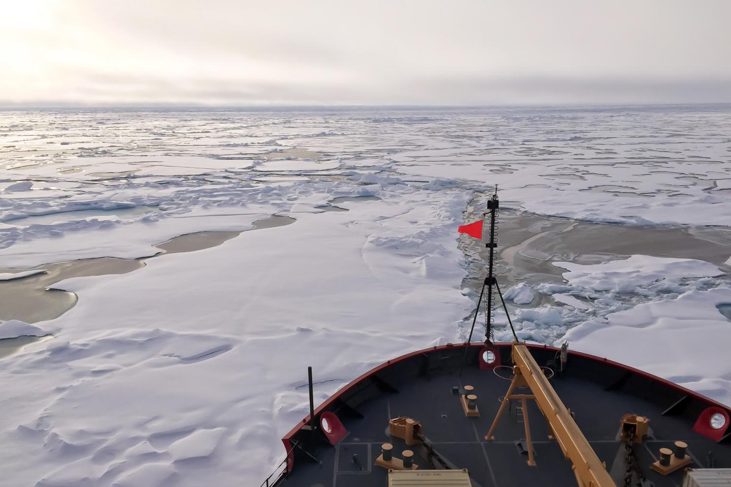 Materials from Arctic Shelves are Changing the Water's Composition (2 of 6)