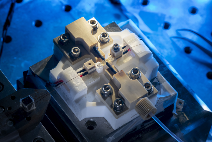 Small and revolutionary: physicist Larissa Kohler, KIT, has developed a new type of resonator that makes ever smaller nanoparticles visible. (photo: Markus Breig, KIT)