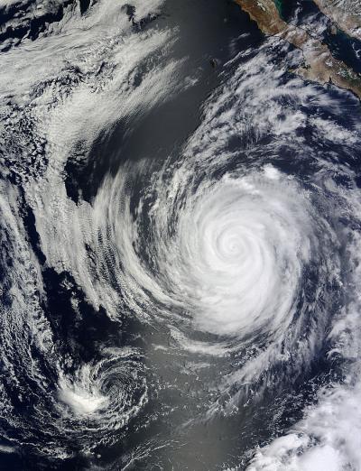 Terra Image of Marie