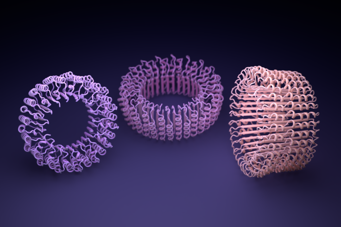 A.I. Hallucinated Symmetric Protein Assemblies