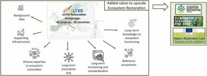 Possible contribution of the Long-term Ecological Research Network research infrastructure to upscaling ecological restoration in Europe