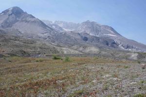 Mt St Helens