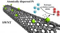 Carbon Nanotubes Stabilize Single Platinum Atoms