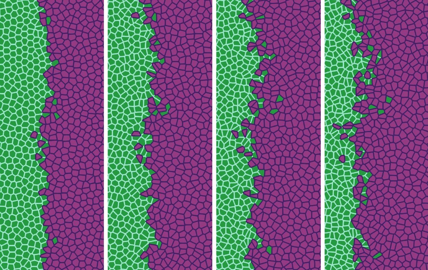 a-mathematical-study-describes-how-metastasis-eurekalert
