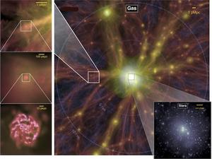 Gas and stars in galaxy cluster