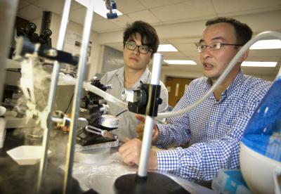 Xin Heng and Cheng Luo, University of Texas at Arlington