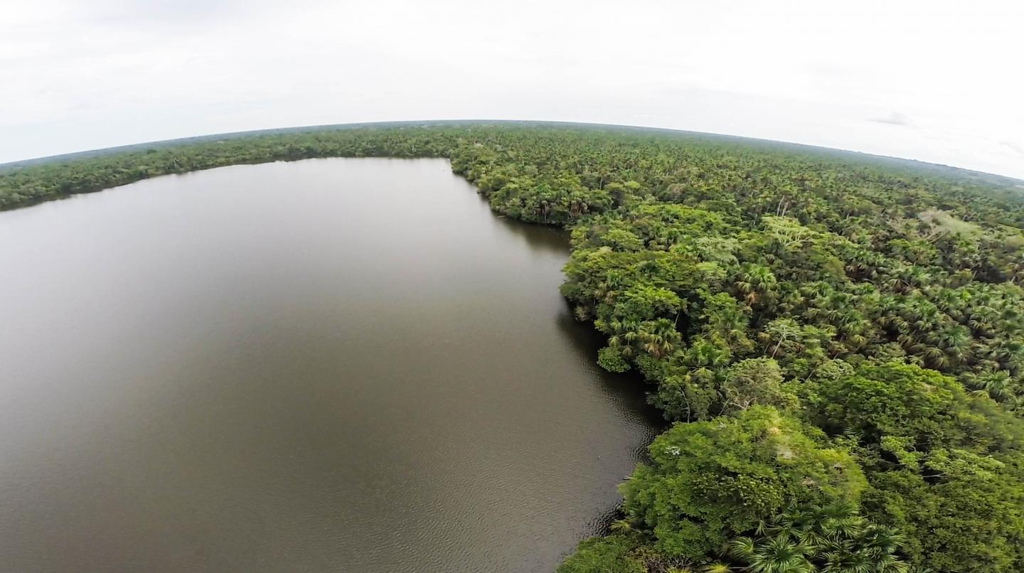 Peatlands in the Peruvian Amazon