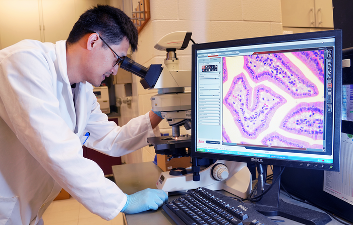 Tissue infected with the foodborne pathogen Listeria monocytogenes