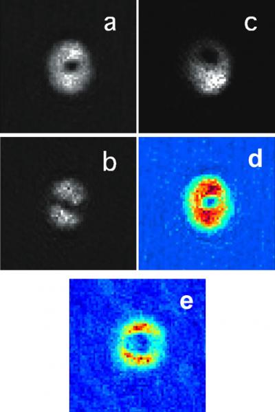 'Tornadoes' Are Transferred From Light to Sodium Atoms