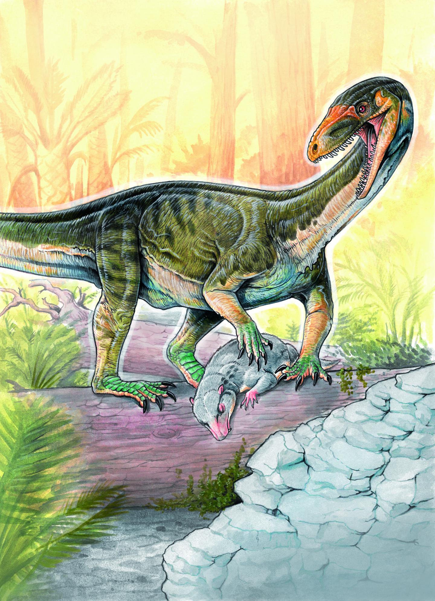 Virginia Tech scientists discover early dinos | EurekAlert!