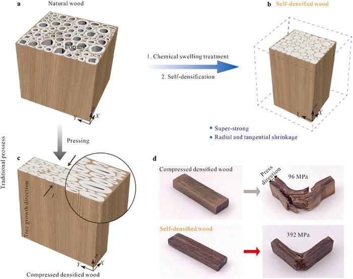 Self-Densified Super-Strong Wood