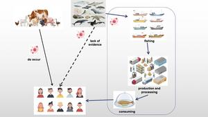 Potential routes of virus transmission from aquatic animals to humans.